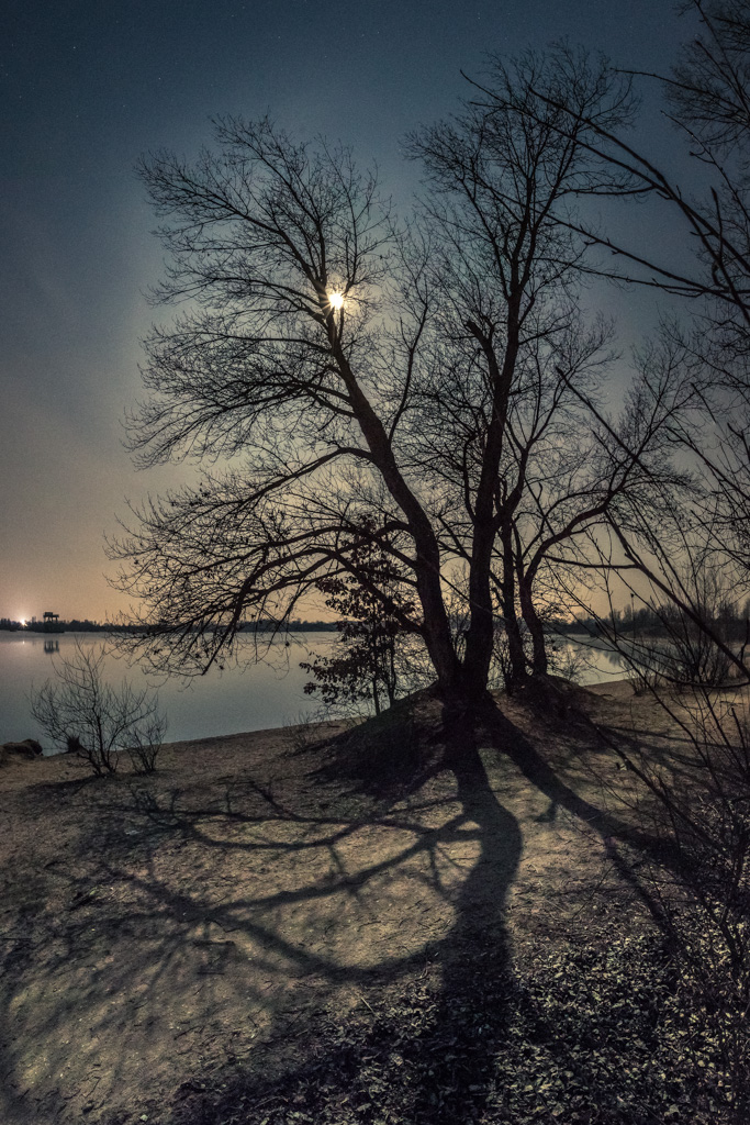 Winternacht am See